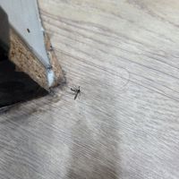 리뷰 사진 썸네일